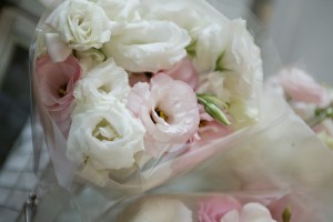 whitening_img006